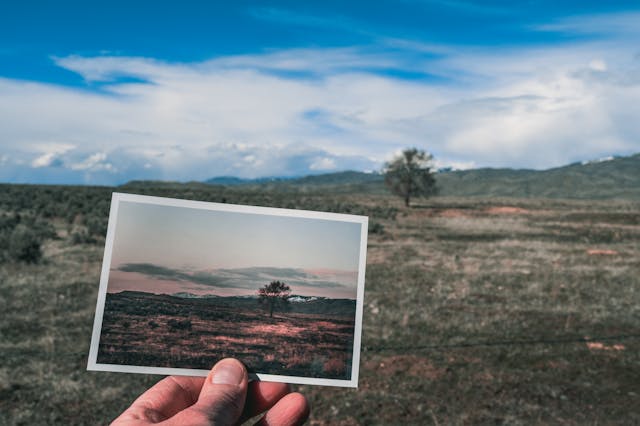 Understanding Image Types